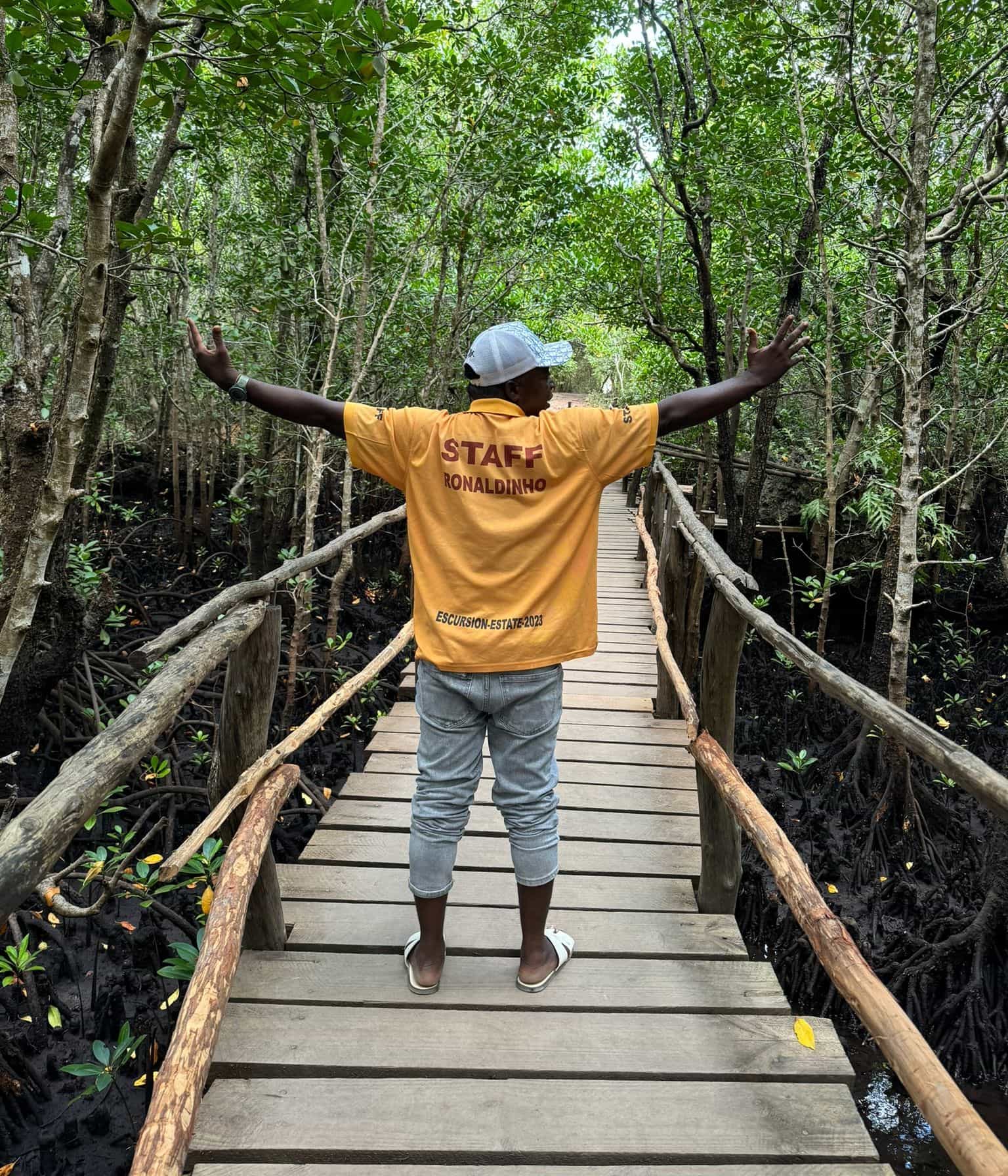 Safari Azul - Image 2