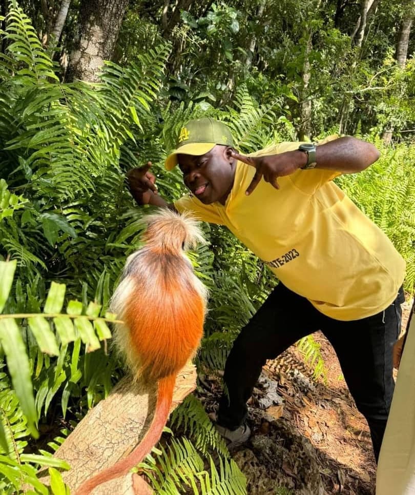 Jozani Forest - Image 1