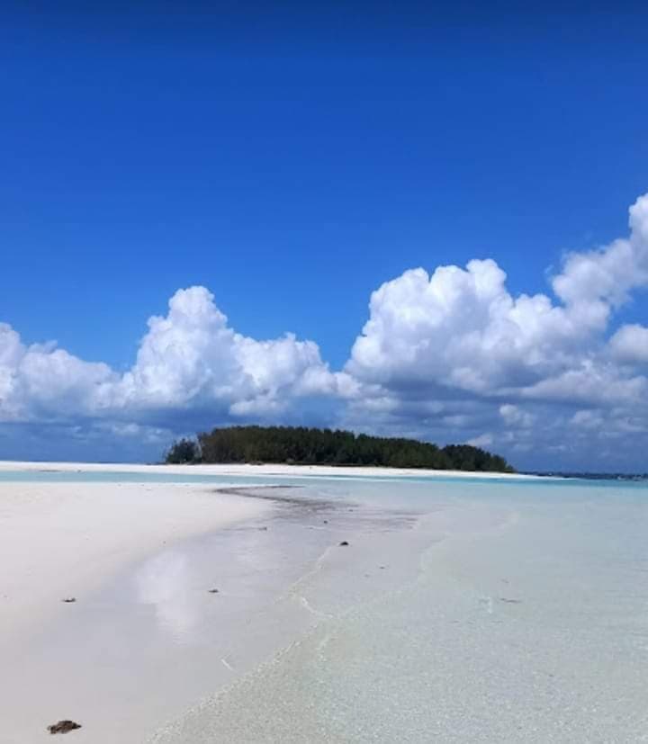 Mnemba Atoll - Image 1