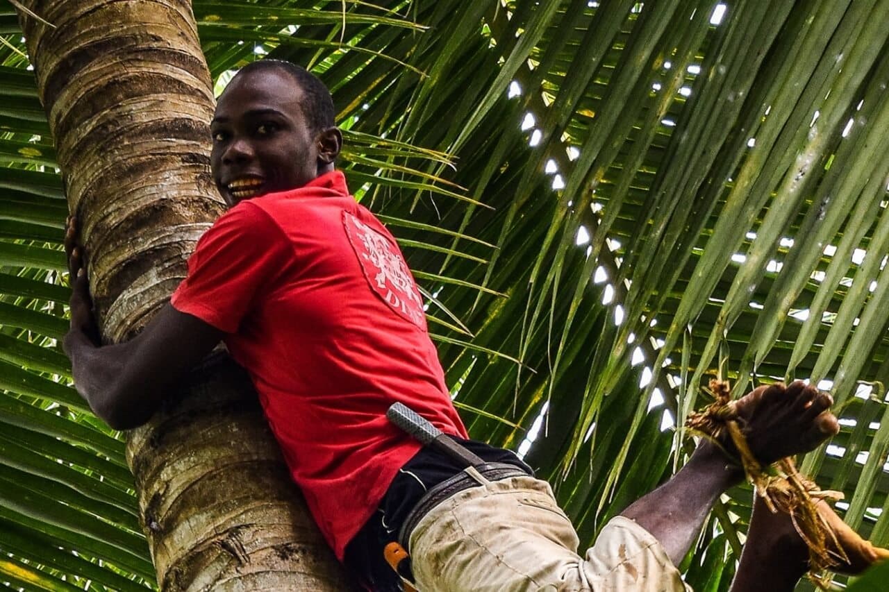 Tour de Especias - Image 1